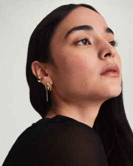 Dôme Hoops